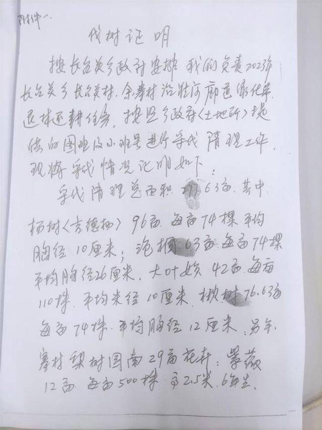 乡政府提供的伐树证明（图片由受访者提供）