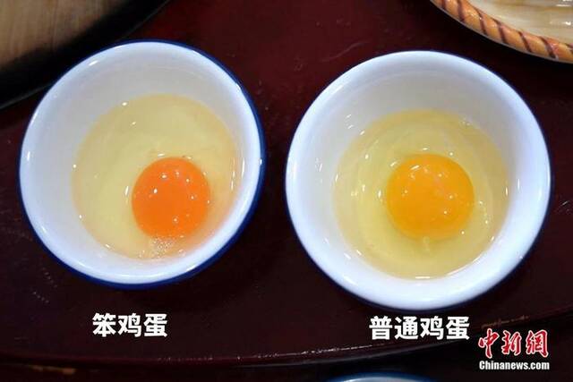 △笨鸡蛋与普通鸡蛋的蛋黄对比