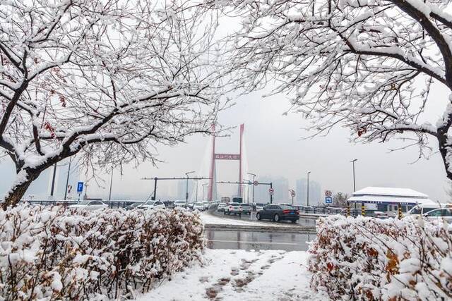 11月1日，吉林省吉林市迎来今年首场降雪，鹅毛大雪让城市一片银白。图/ICphoto