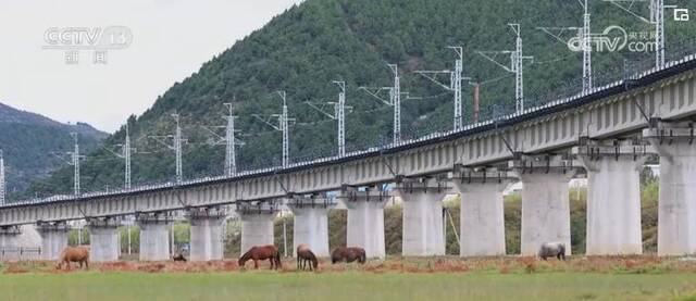 2万建设者9年攻坚 “美丽云岭天路”飞架天堑变通途