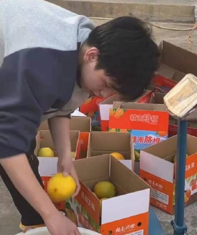 大四学生返乡一天卖完3000斤脐橙：直播一周卖完自家上万斤，收入翻倍