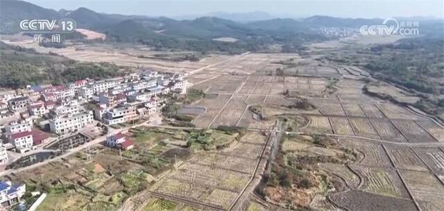 集中连片、设施配套、高产稳产……各地有序推进高标准农田建设