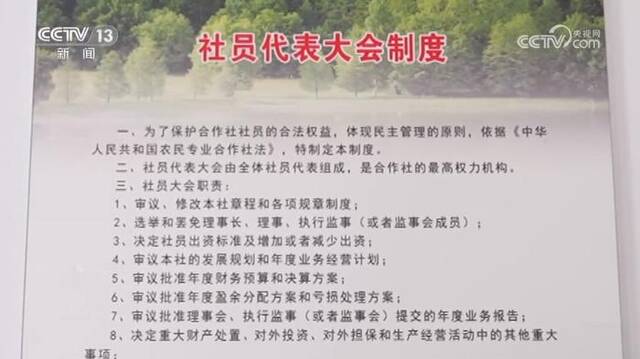 焦点访谈：深化林改 山美民富