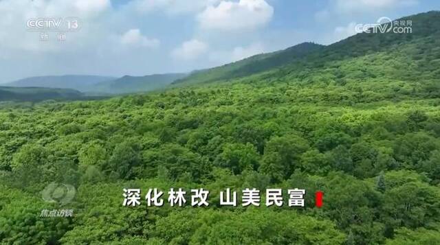 焦点访谈：深化林改 山美民富