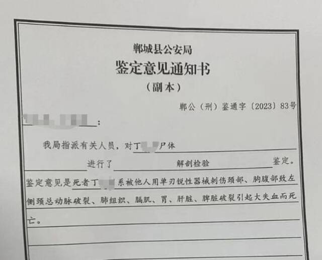 河南一对父女自家门前遇害，其家属称嫌犯寻人未果找路人泄恨