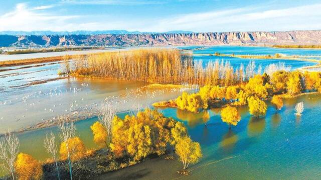 三门峡灵宝段黄河湿地聂冬晗段景波摄