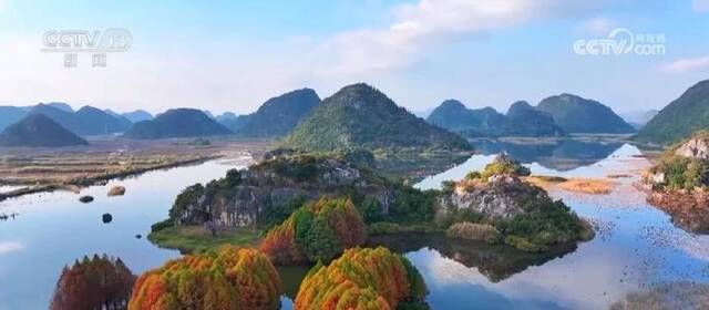 湖清水净候鸟翩跹 绘就人鸟和谐的生态美景