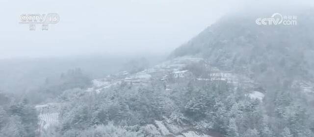 湖清水净候鸟翩跹 绘就人鸟和谐的生态美景