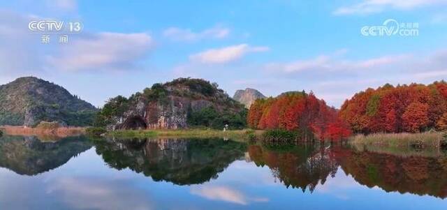 湖清水净候鸟翩跹 绘就人鸟和谐的生态美景