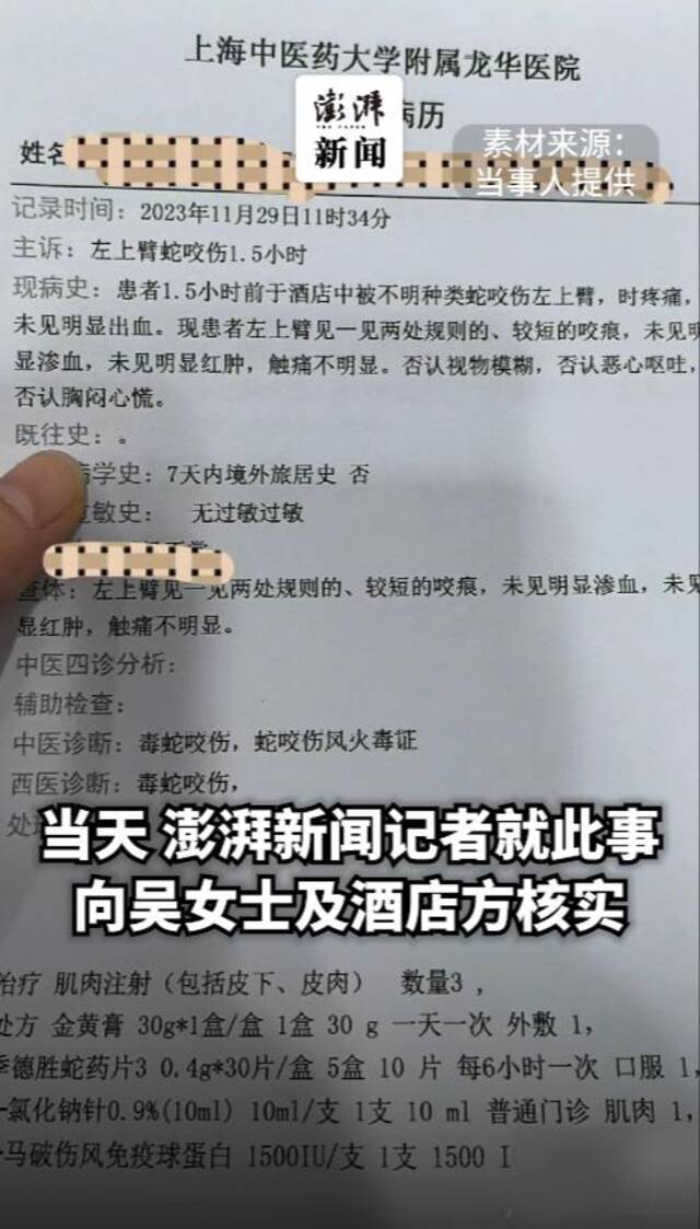 旅客住上海知名酒店被蛇咬伤！关键蛇还没找到……