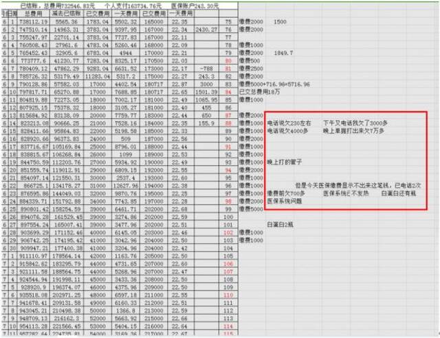 图：自述人姑妈做的Excel表