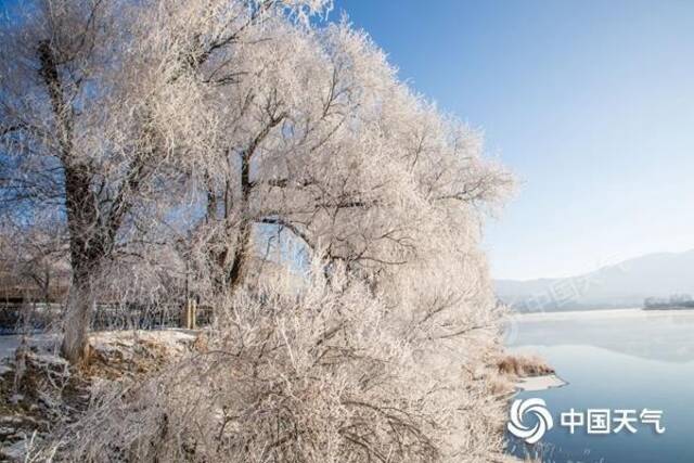 △近日，吉林松花江畔气温走低，现雾凇美景。（图/朱万昌）