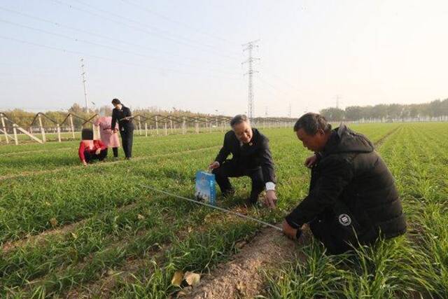 图③:今年11月,办案检察官、王尔镇村委会工作人员及当事人共同到案涉争议土地,重新丈量,明晰了争议耕地的边界。