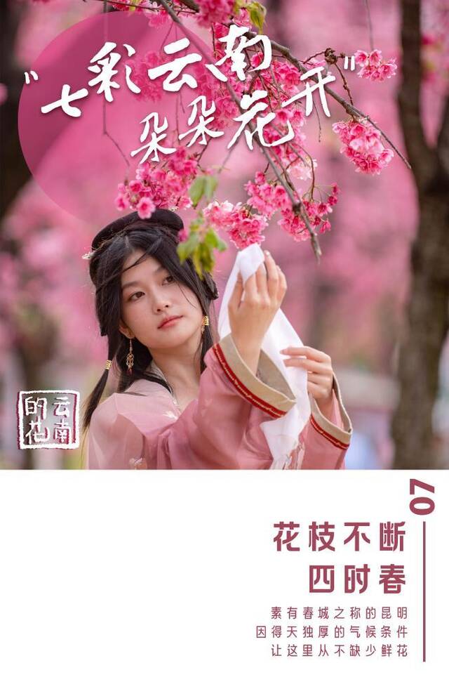 七彩云南，朵朵花开