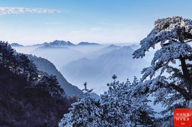 镜头丨积阴成大雪 依依惜暮晖