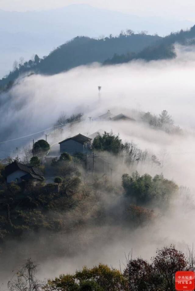 镜头丨积阴成大雪 依依惜暮晖