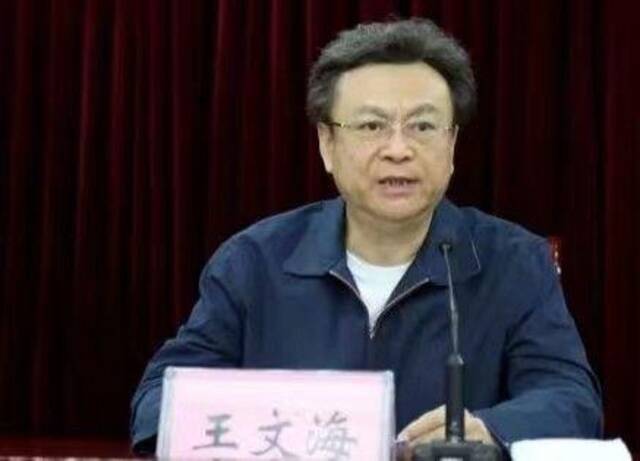 河南省司法厅原厅长王文海。受访者供图