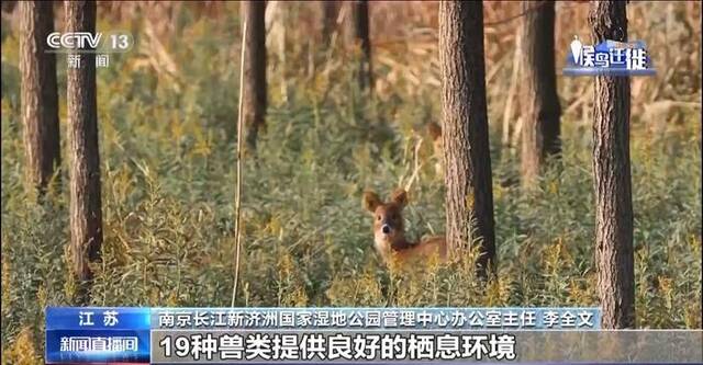 观鸟正当时！一起来“候鸟天堂”看万千精灵蹁跹飞舞