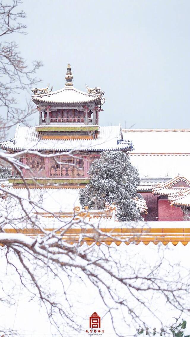 “故宫闭馆”上热搜，官方雪后美景大片来了