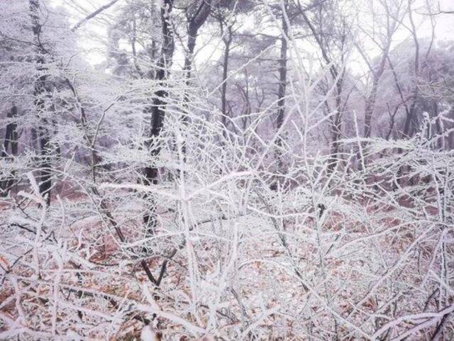 河南嵩山9日夜间至10日遭遇寒潮，气温急剧下降图文/李灵道（央视新闻）