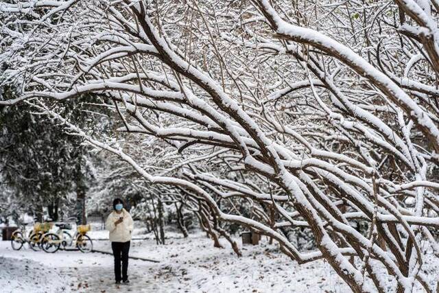 12月11日，市民冒雪出行。当日，山东省济南市出现降温雨雪天气。新华社记者朱峥摄