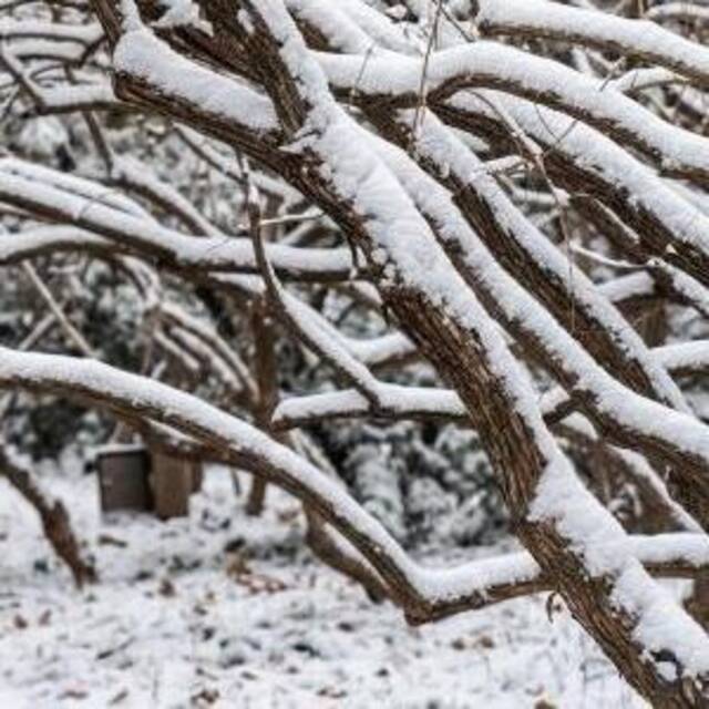 筑牢温暖防线 护航生产生活——山东多地应对寒潮天气扫描