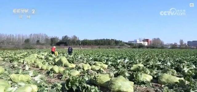 中国经济“加速跑” 消费市场“多面开花”为经济发展添动力