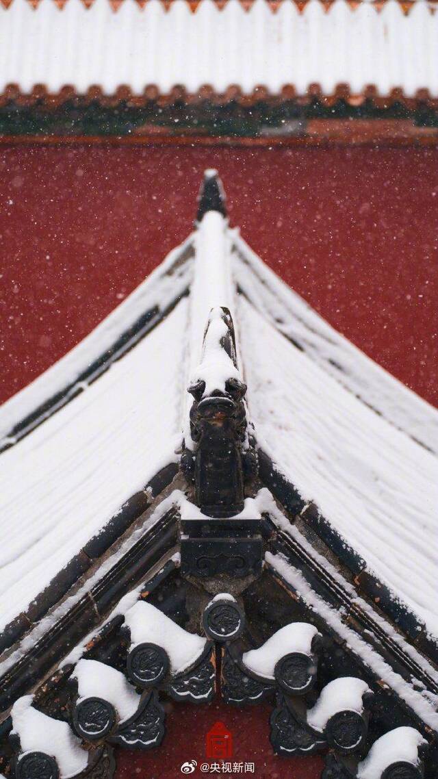 太美了！故宫雪景大片又上新了