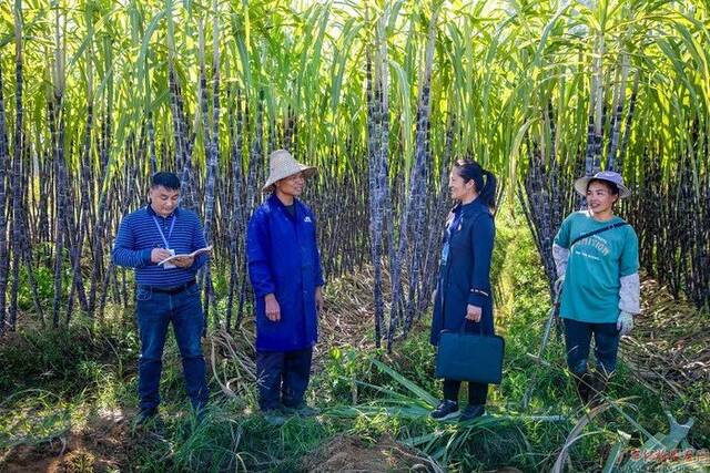 拓宽线索收集渠道 整治民生领域问题