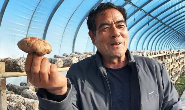 卡子村党支部书记宋有龙展示干香菇。新华社记者任玮摄