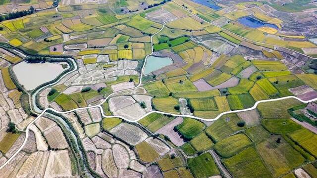 安徽省凤阳县小岗村的田野景象（2018年9月27日摄，无人机照片）。新华社记者张端摄