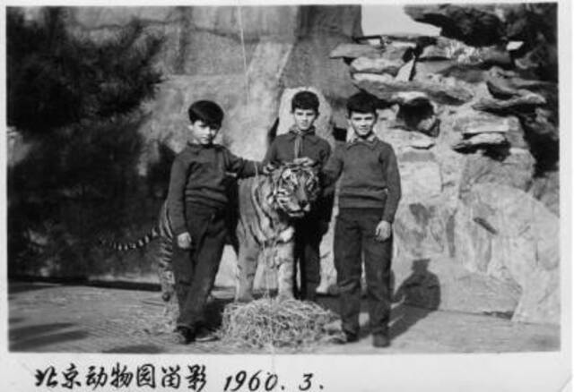 1960年，柯马凯三兄弟在北京动物园。