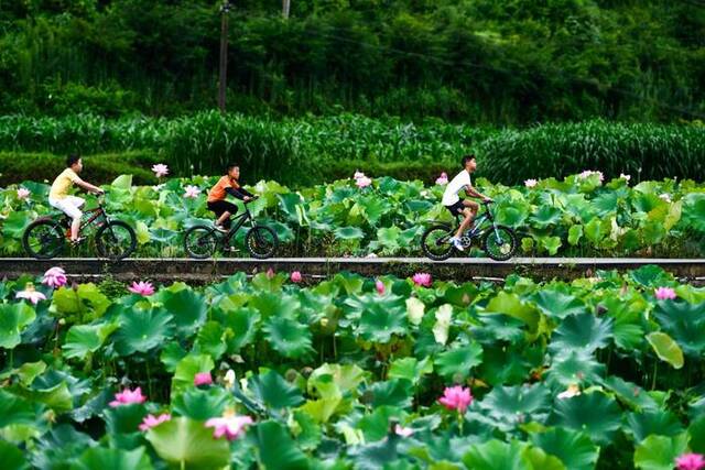 孩子们在贵州省岑巩县客楼镇下寨村骑行游玩（8月2日摄）。