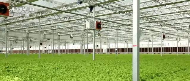 农业科技创新整体效能提升 诸多具有自主产权前沿技术成果转化应用