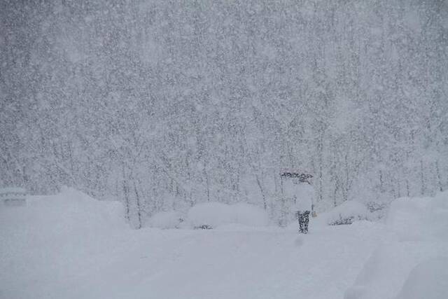 2023年12月22日，“雪窝”山东威海暴雪持续加剧。