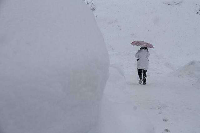 2023年12月22日，山东威海，积雪厚度超过70厘米，市民出行艰难。