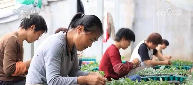 强寒潮影响持续 各方齐“发力”应对恶劣天气