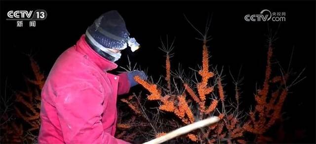 追着雪花看新疆｜山河壮美、产业热火、成就梦想 这里真的不一样！