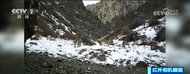 赞叹自然之美 感慨自然和谐 一起来领略祖国大地的如画冬景