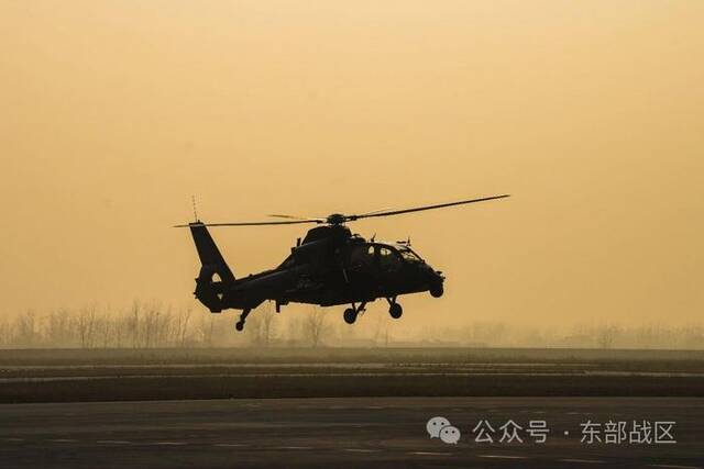 来了！东部战区陆海空军新年开飞高燃画面