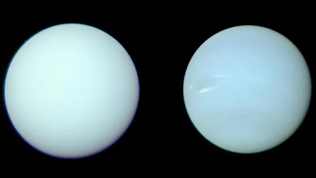 “真正的”彩色图像显示，天王星和海王星实际上是相似的蓝色