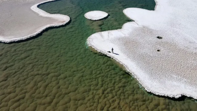 阿根廷的普那德阿塔卡马沙漠失落的泻湖中的微生物可能反映了火星上的早期生命