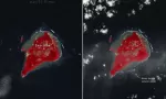 日本海岸一次火山爆发催生了一个新的岛屿，美国宇航局卫星从太空中看到了它