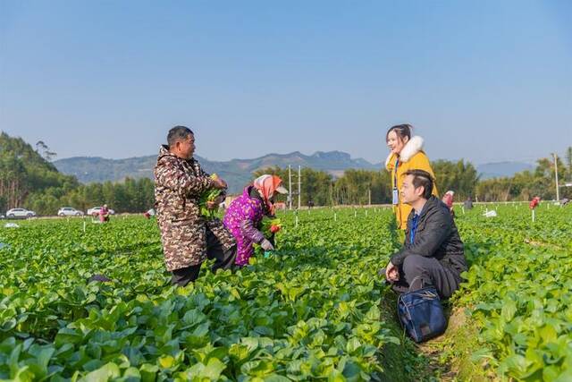 监督守护民生“温度”