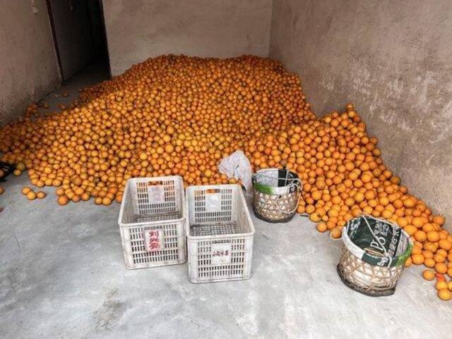 有长沙镇村民表示，村民们平日也会堆放新鲜柑橘。沃佳摄