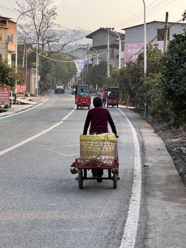 长沙镇的山路上，不时有村民载着箩筐经过。沃佳摄