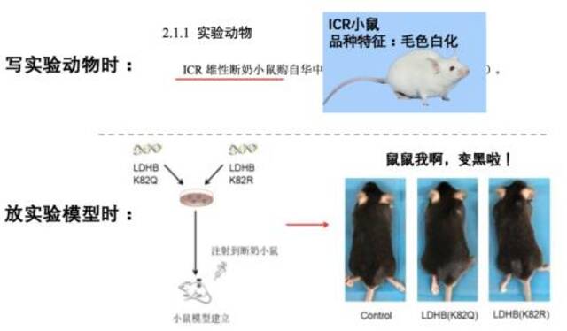 华中农业大学：教师黄某某存在学术不端行为