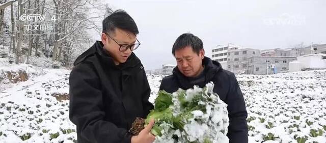 南方多地遭遇降温降雪天气 相关部门积极应对稳生产保民生