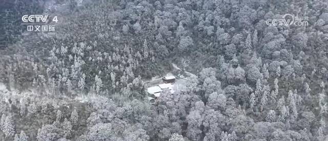 南方多地遭遇降温降雪天气 相关部门积极应对稳生产保民生