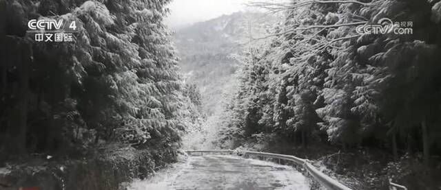 南方多地遭遇降温降雪天气 相关部门积极应对稳生产保民生